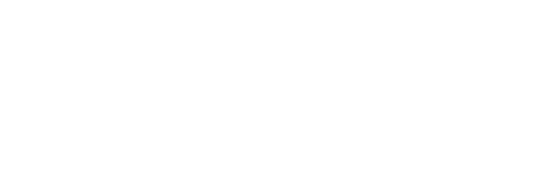 Palmetto Community Care logo